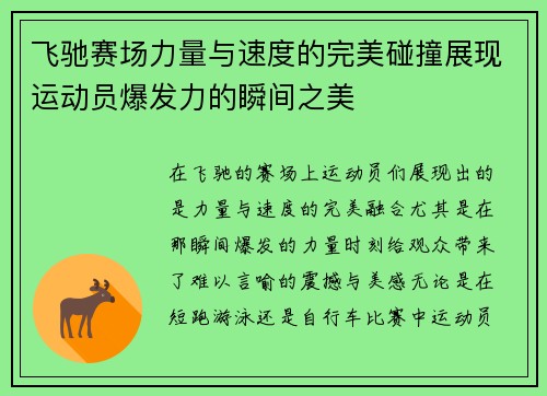 飞驰赛场力量与速度的完美碰撞展现运动员爆发力的瞬间之美