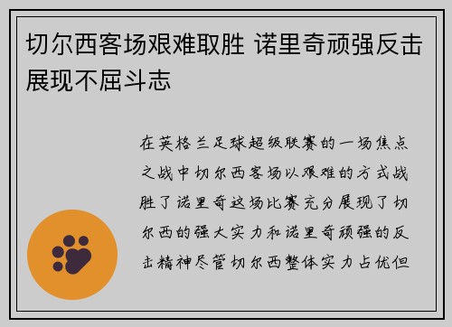 切尔西客场艰难取胜 诺里奇顽强反击展现不屈斗志